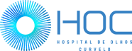 Hospital de Olhos Curvelo - Logo Escrito Azul